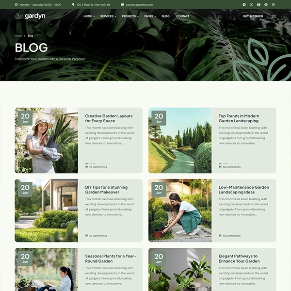 blog